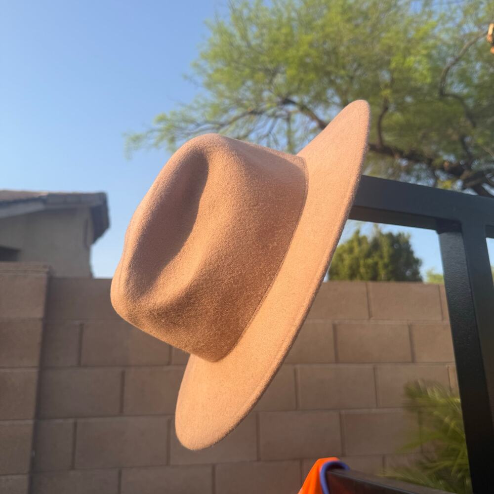 Free People Clean Slate Wool Felt Fedora Pink Western Festival Hat One Size